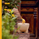 Unser Katalog
