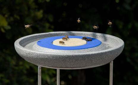 Insektenstation Granicium mit Ständer