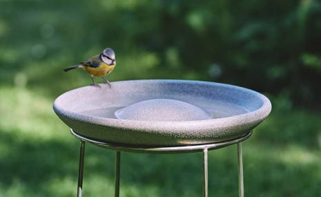 Bird Bath Granicium® with Stand