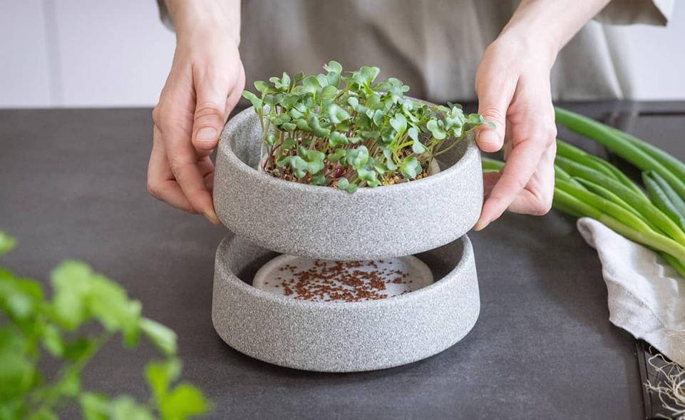 Micro-Garden-Set Granicium