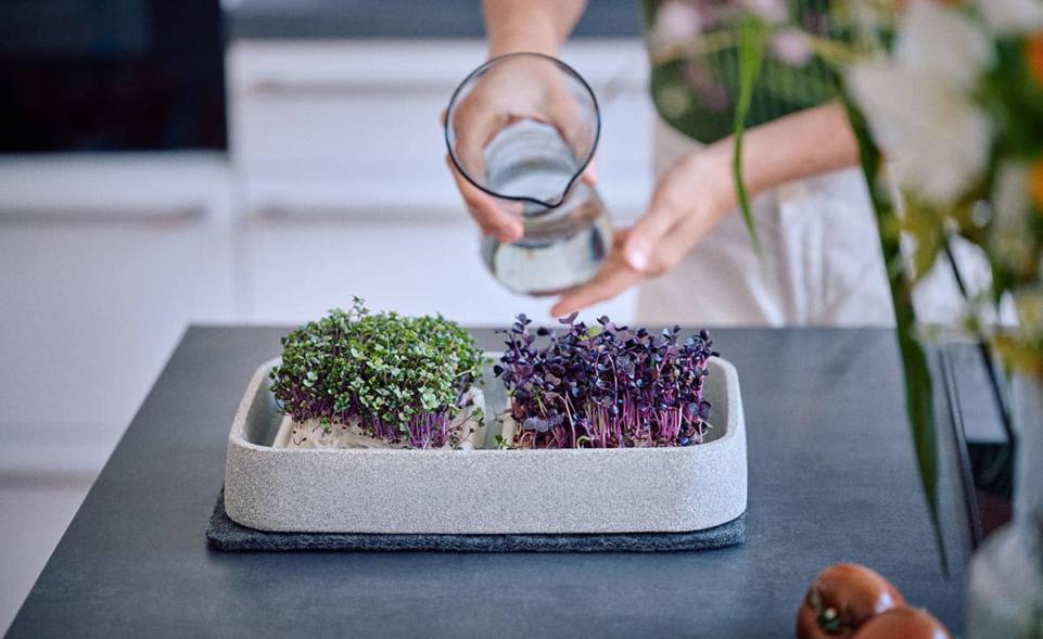 Micro-Garden XL Granicium