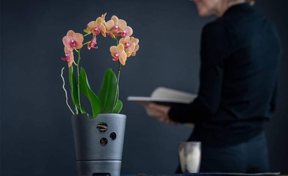 Orchideentopf CeraLava®