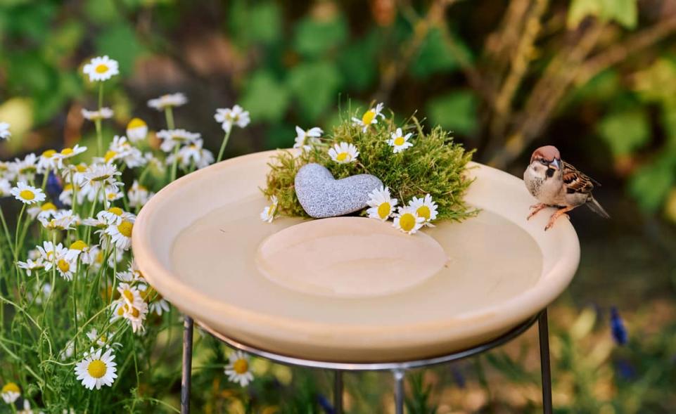 Bird Bath CeraNatur® with Stand