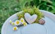 Herz Immerdein Granicium®