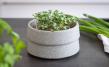 Micro-Garden-Set Granicium
