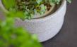 Micro-Garden-Set Granicium
