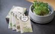 Micro-Garden-Set Granicium